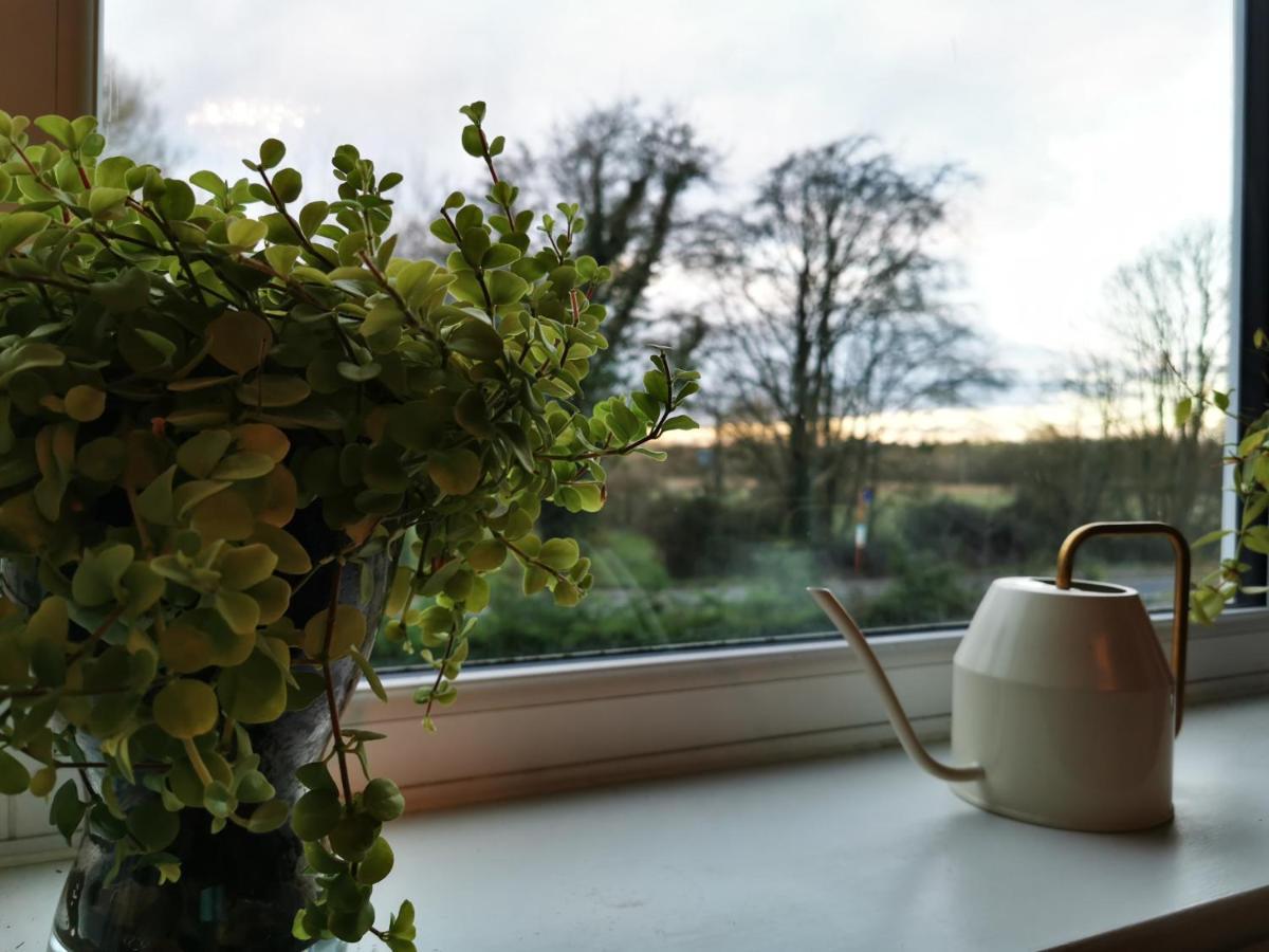 Redbrook Farm Bnb - Gateway To The New Forest Fordingbridge Exterior photo
