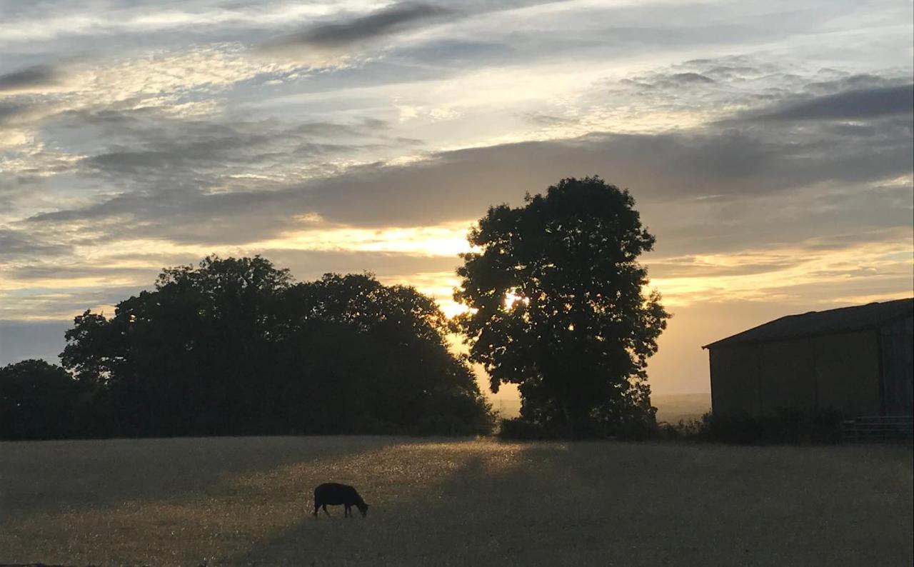 Redbrook Farm Bnb - Gateway To The New Forest Fordingbridge Exterior photo