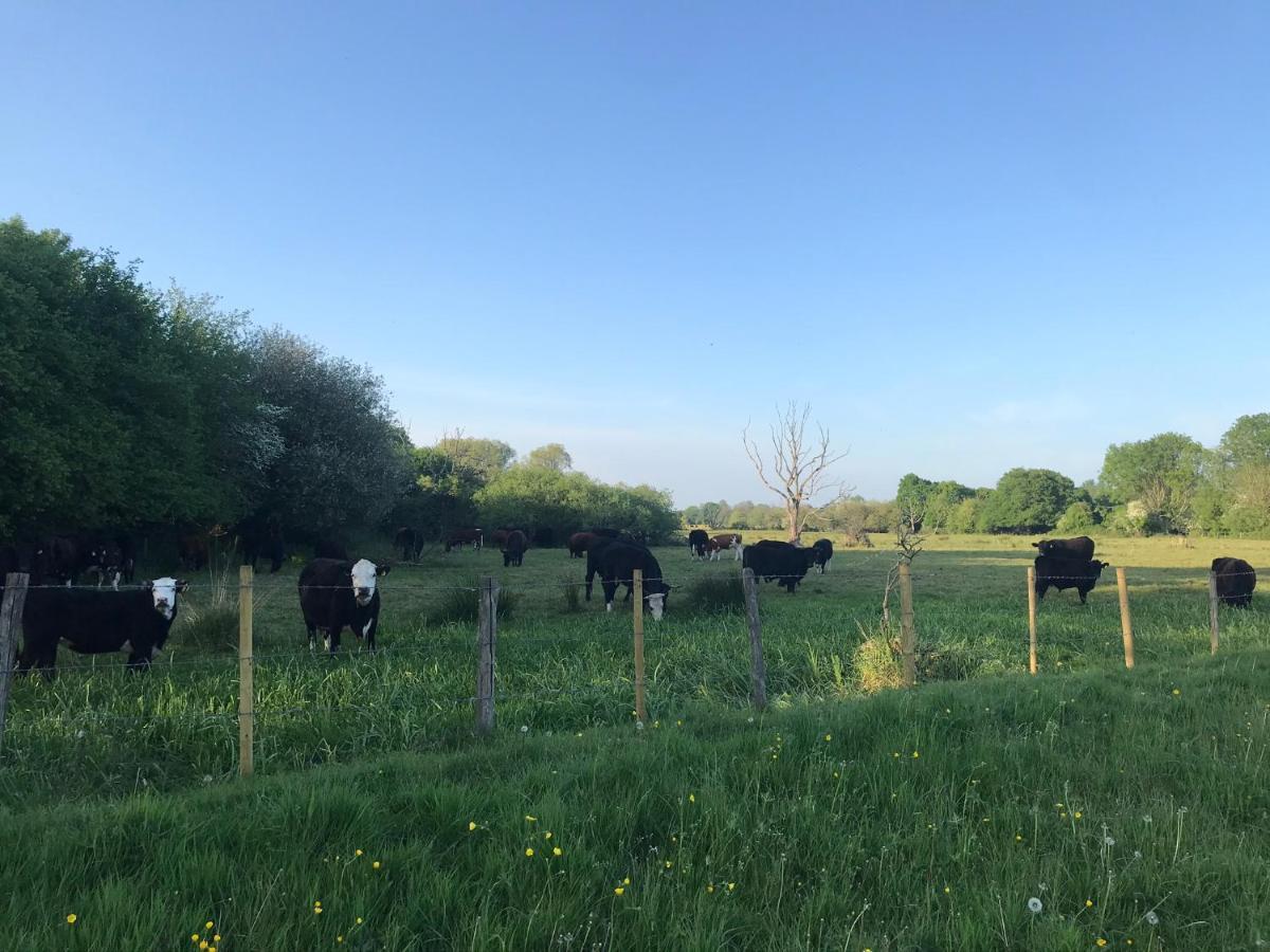 Redbrook Farm Bnb - Gateway To The New Forest Fordingbridge Exterior photo