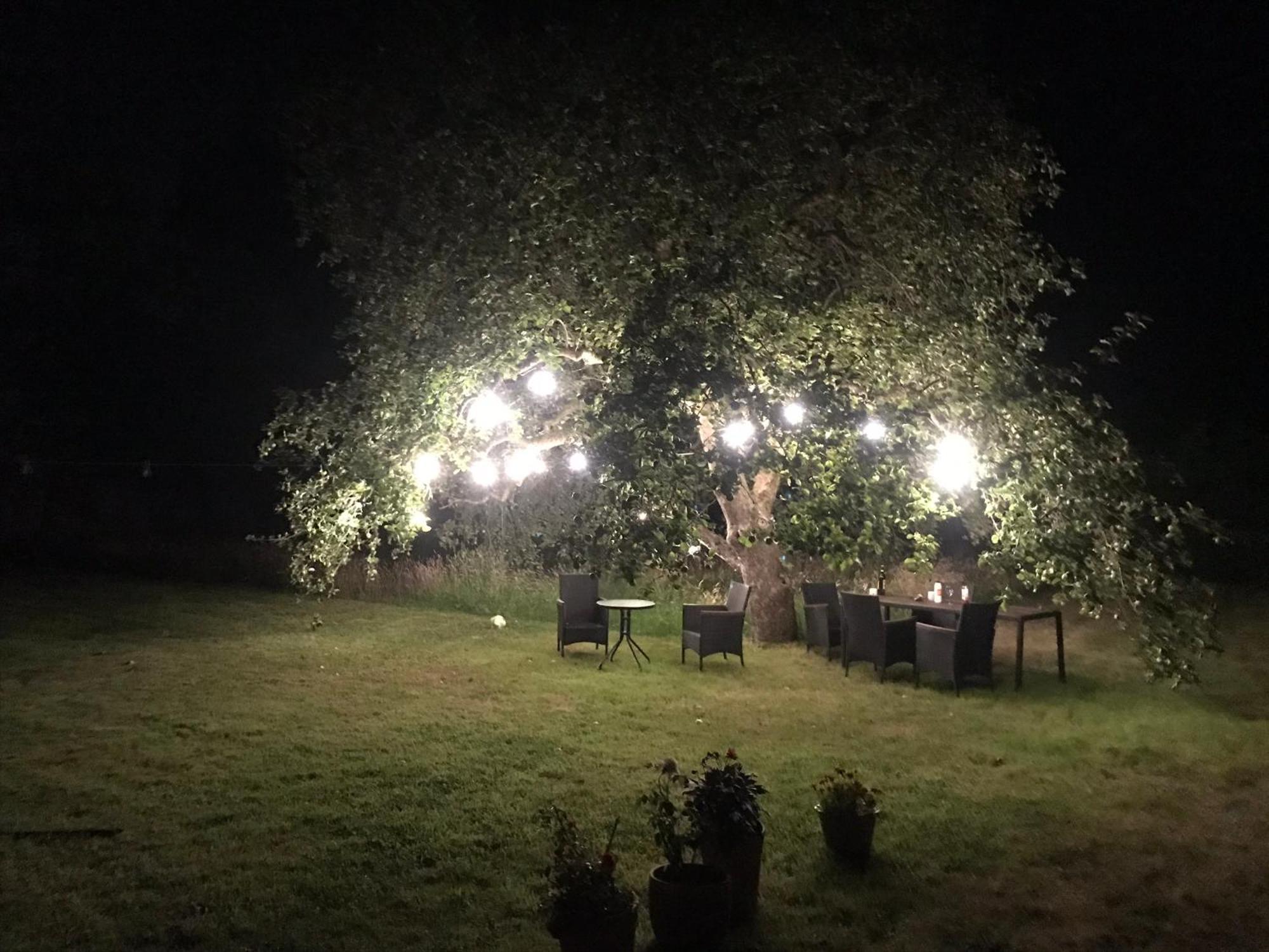 Redbrook Farm Bnb - Gateway To The New Forest Fordingbridge Exterior photo